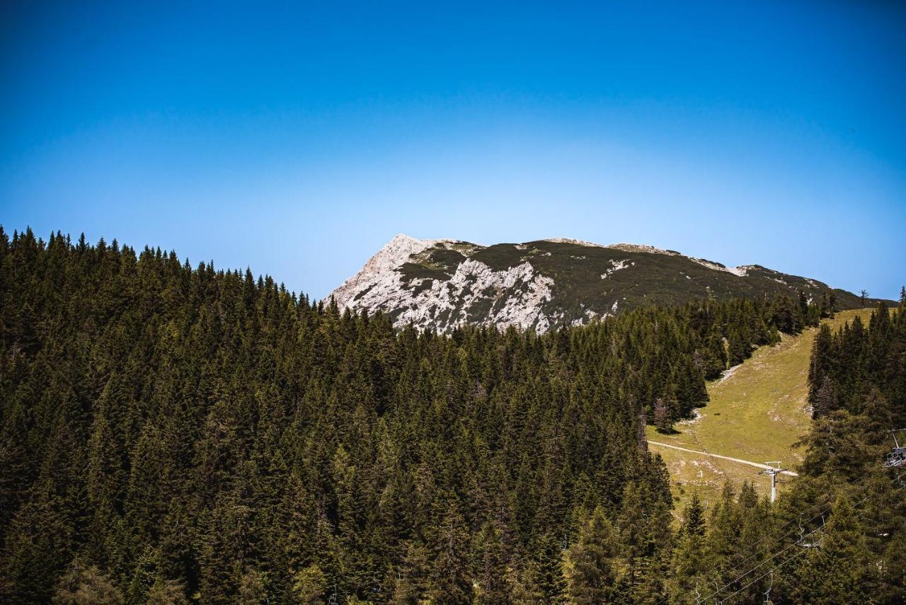 Apartments Zvoh, Krvavec, Ski-In, Ski-Out Cerklje na Gorenjskem Exteriér fotografie